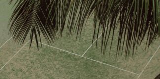 Indiana Fever Vs Washington Mystics Match Player Stats: Who Dominated?