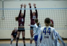 Denver Nuggets Vs Minnesota Timberwolves Match Player Stats Breakdown