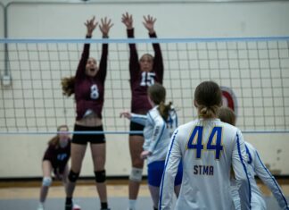 Denver Nuggets Vs Minnesota Timberwolves Match Player Stats Breakdown