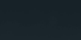 Indiana Fever Vs New York Liberty Match Player Stats: Who Dominated?