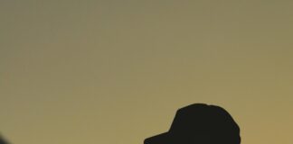 Chicago Sky Vs Indiana Fever Match Player Stats: Who Dominated?